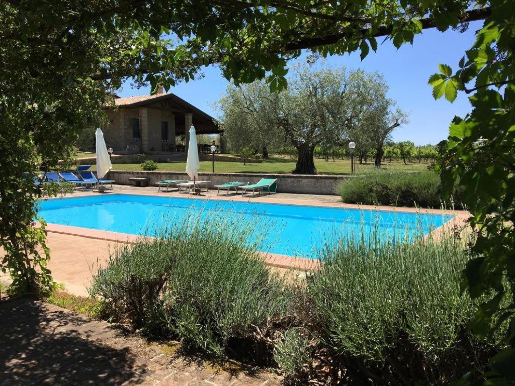 Agriturismo Eco-Bio Villa Vacasio Pitigliano Buitenkant foto